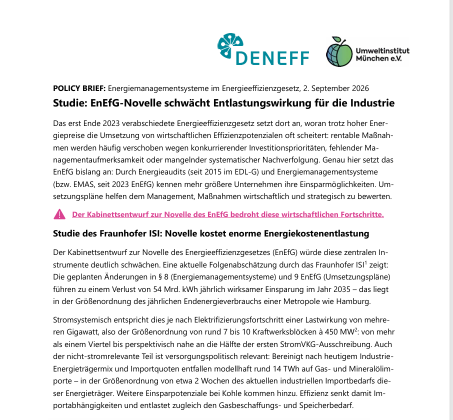 Bild von Policy Brief: EnEfG-Novelle schwächt Entlastungswirkung für die Industrie